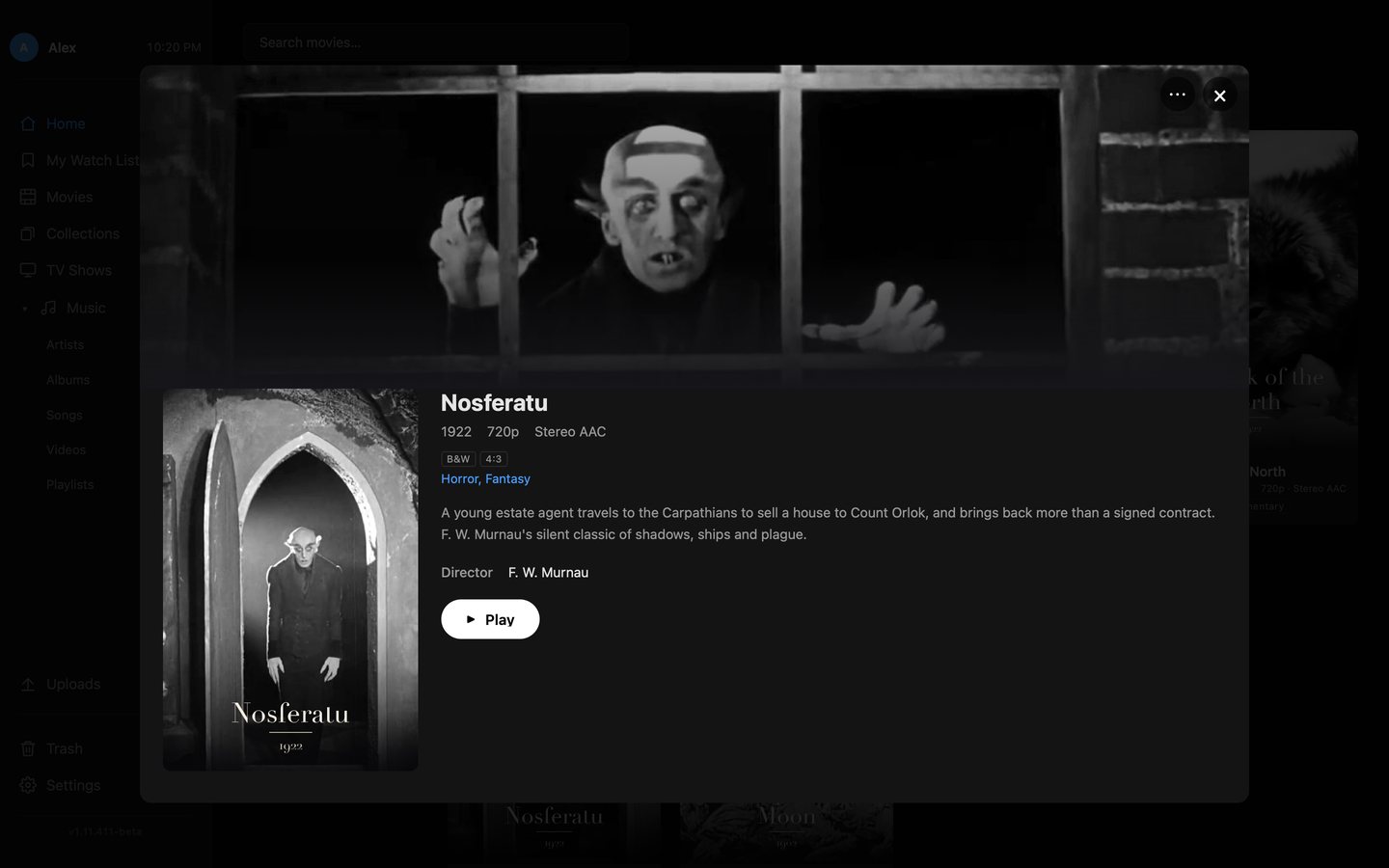 A film's details in the browser